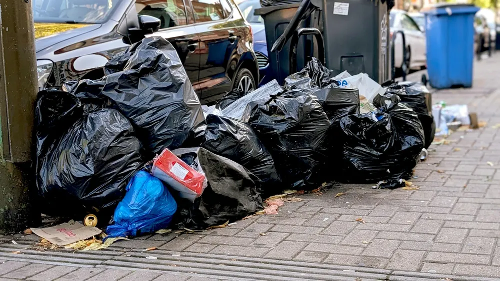 Sortierte Müllsäcke zur fachgerechten Abholung und Entsorgung